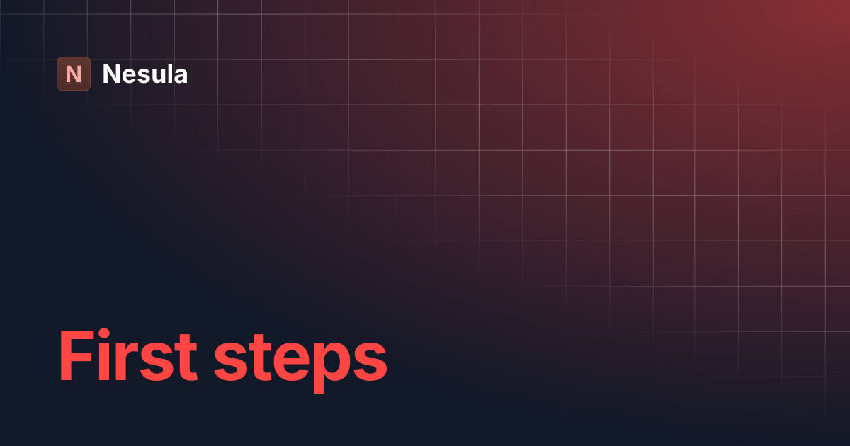 First steps nesula